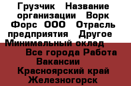 Грузчик › Название организации ­ Ворк Форс, ООО › Отрасль предприятия ­ Другое › Минимальный оклад ­ 24 000 - Все города Работа » Вакансии   . Красноярский край,Железногорск г.